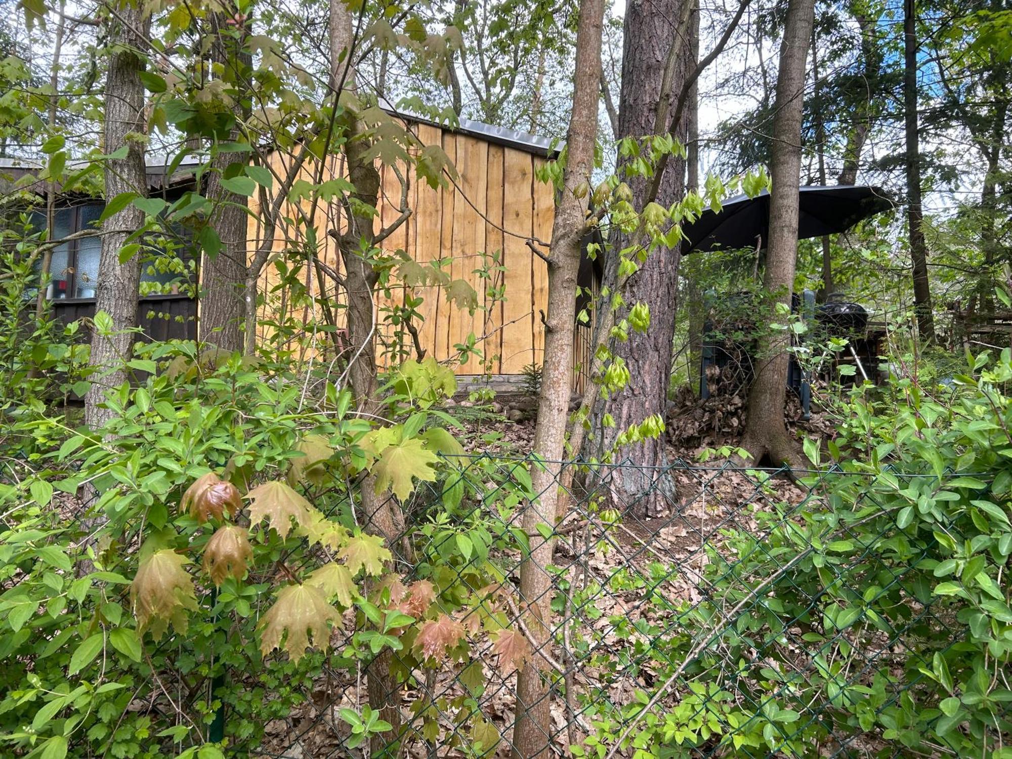 Bungalow Biberspur Zieko Luaran gambar